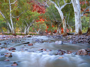Great Photo Locations: West MacDonnell Ranges, NT